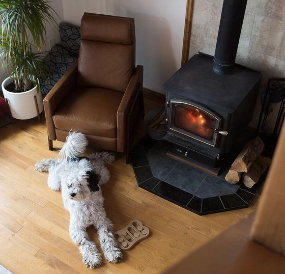 dog sitting in front of log burning fire in living room of home